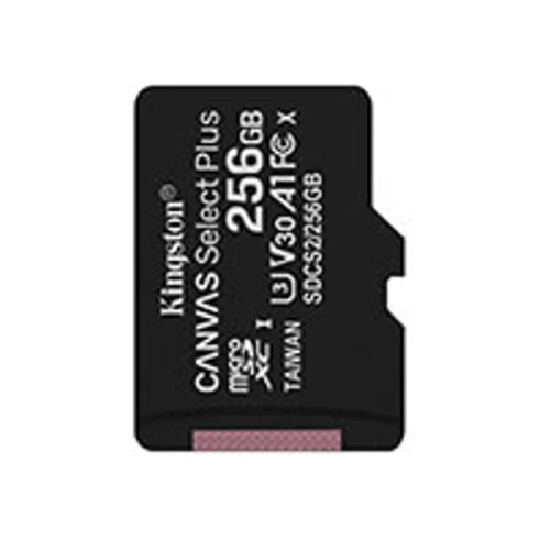 KingSton 256GB SDCHC