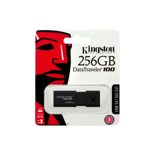 KingSton Flash Memory 256GB FKS256FL